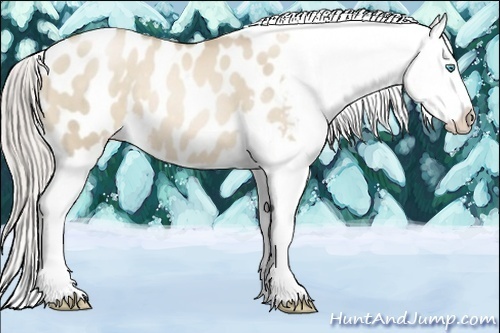 Horse Color:Chocolate Palomino Pearl Dun Appaloosa