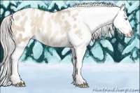Horse Color:Chocolate Palomino Pearl Dun Appaloosa