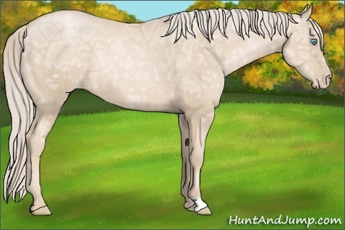 Horse Color:Palomino Ice Pearl 