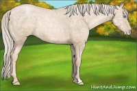 Horse Color:Palomino Ice Pearl 