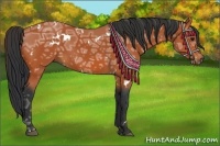 Horse Color:White Spotted Bay Ice