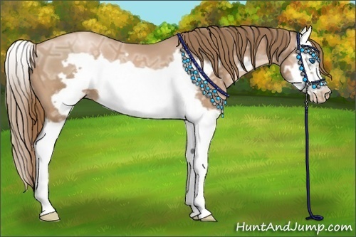 Horse Color:Liver Chestnut Ice Pearl Splash Frame 