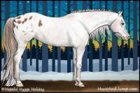 Horse Color:Chestnut Appaloosa
