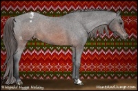 Horse Color:Brown Appaloosa 
