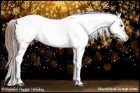 Horse Color:Brown Appaloosa 