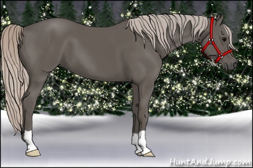 Horse Color:Silver Black Frame