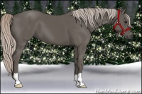 Horse Color:Silver Black Frame 