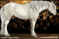 Horse Color:Chocolate Palomino Pearl Rabicano