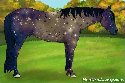 Horse Color:ERROR: UNKNOWN ANOMALY