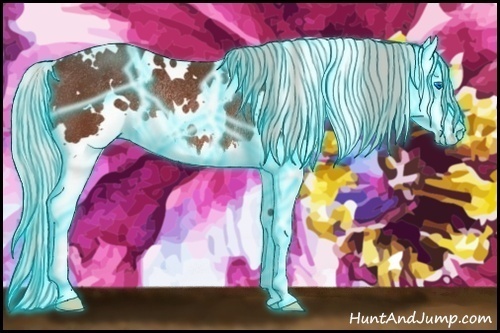 Horse Color:Thunderstruck White Spotted Silver Brown Splash Rabicano 