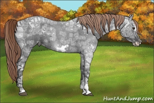 Horse Color:Liver Red Ice Roan Frame