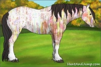 Horse Color:Bay Ice 