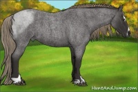 Horse Color:Liver Red Roan Sabino 