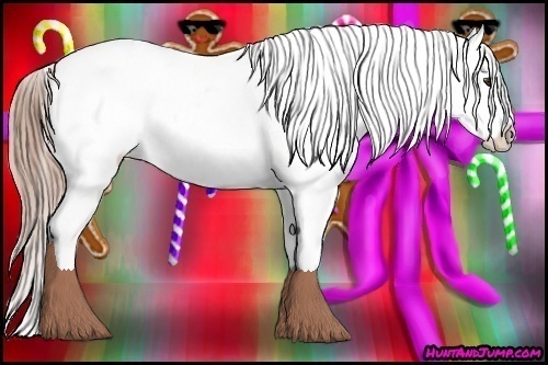 Horse Color:Chestnut Appaloosa 