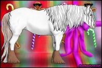 Horse Color:Chestnut Appaloosa