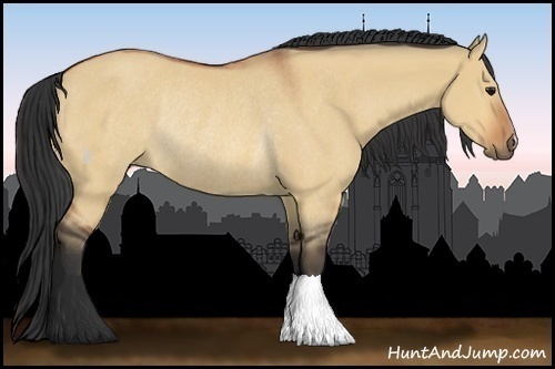 Horse Color:Bay Dun Rabicano