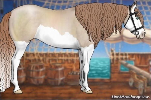 Horse Color:Smoky Black Pearl Splash 