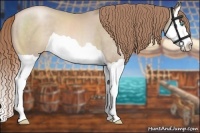 Horse Color:Smoky Black Pearl Splash 