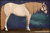 Horse Color:Gold Champagne Roan 