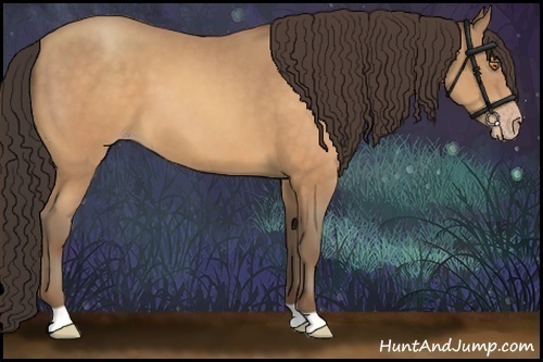 Horse Color:Sable Champagne 