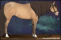 Horse Color:Sable Champagne 
