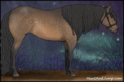 Horse Color:Buckskin 