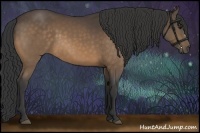 Horse Color:Buckskin 