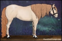 Horse Color:Buckskin Pearl 
