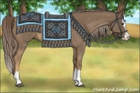 Horse Color:Chocolate Palomino Roan Splash