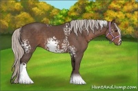 Horse Color:White Spotted Silver Black Sabino
