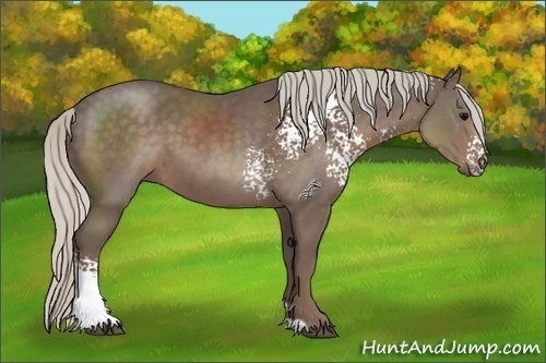Horse Color:White Spotted Silver Black Sabino