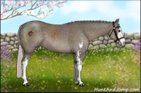 Horse Color:Silver Black Sabino 