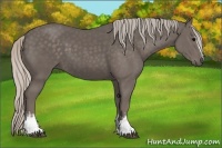 Horse Color:White Spotted Silver Black 