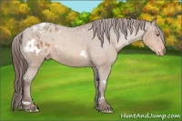 Horse Color:White Spotted Sable Champagne Varnish 