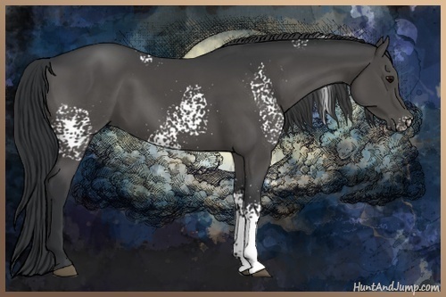 Horse Color:White Spotted Black 