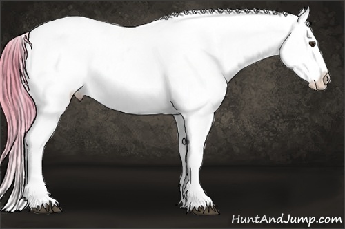 Horse Color:Watercolor Chestnut Snowcap 