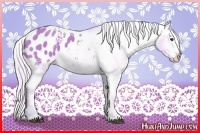 Horse Color:Watercolor White Spotted Silver Bay Appaloosa 