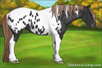Horse Color:Liver Chestnut Tobiano Blanket 