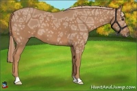 Horse Color:Chestnut Ice 