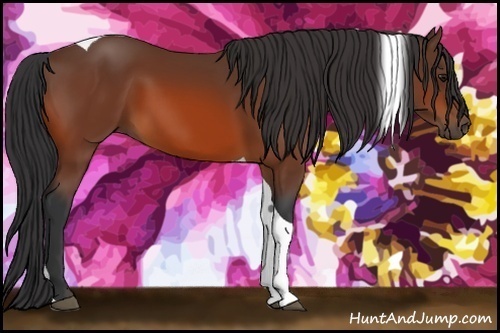 Horse Color:Bay Tobiano 