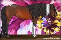 Horse Color:Bay Tobiano 