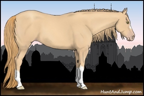 Horse Color:Gold Champagne