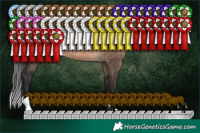 Horse Color:Brown Dun Rabicano 