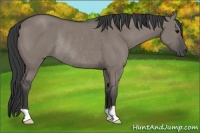 Horse Color:Grullo Rabicano 