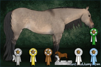 Horse Color:Brown Dun