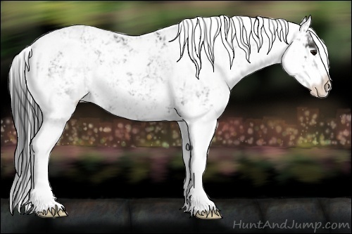 Horse Color:Black Sabino Rabicano 