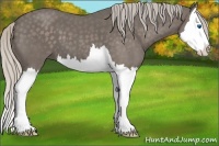 Horse Color:Silver Blue Roan Splash
