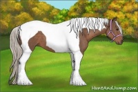 Horse Color:Silver Black Tobiano