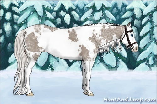 Horse Color:White Spotted Silver Grullo Ice Splash 