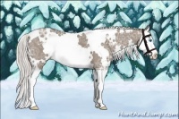 Horse Color:White Spotted Silver Grullo Ice Splash